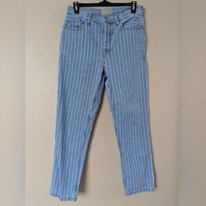 Everlane The 90's Cheeky Straight Jean, Pinstripe Blue/Blue & White (26 Ankle)